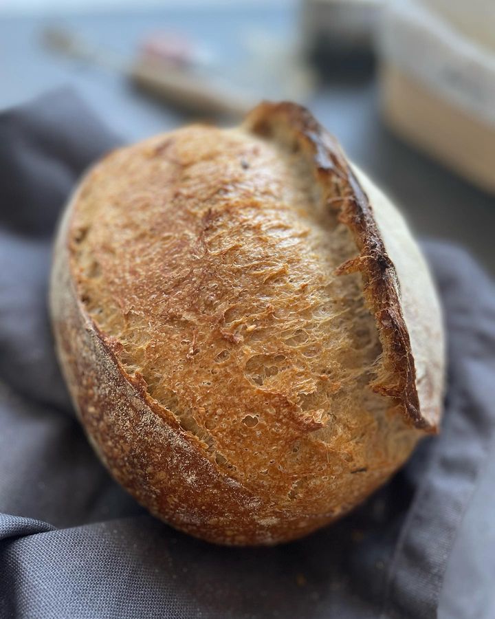Mix di farine svuota sacchetti, esubero di licoli usato direttamente dal frigo, acqua ad occhio. 